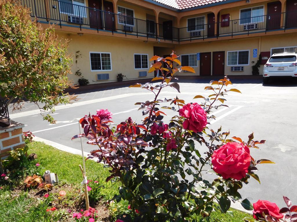 Diamond Inn Inglewood Exterior foto